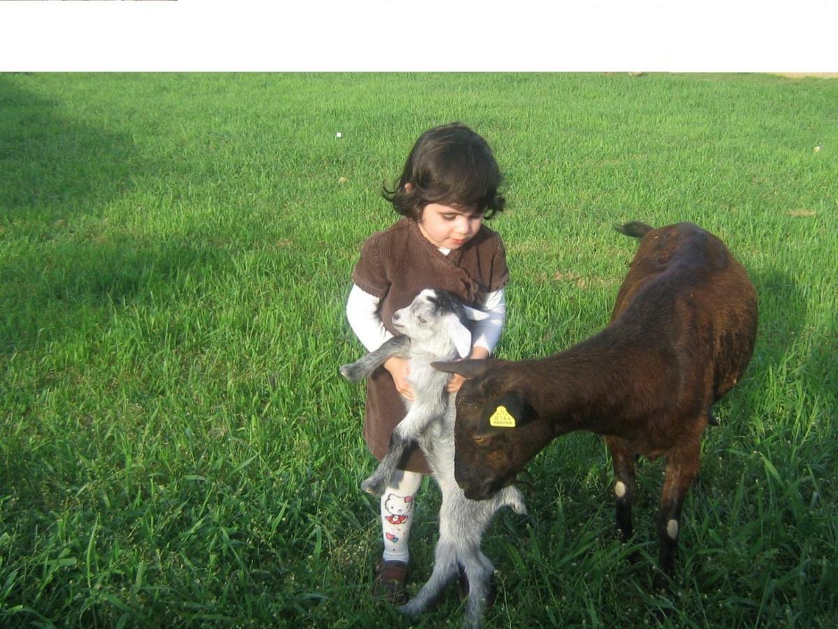 Casa Rural La Casa De Los Pollos Turrubuelo 外观 照片